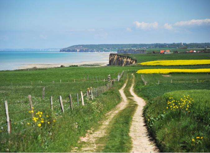 Sentier du GR21 longeant les champs et les falaises de la Côte d'Albâtre